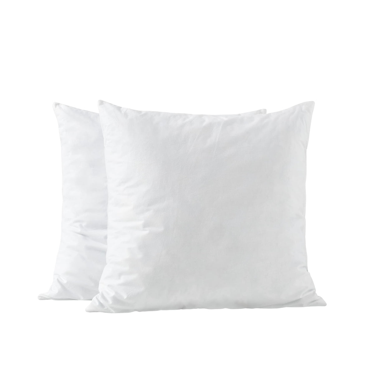basic home front packaging showing two 28x28 pillow inserts, clear product presentation and convenience