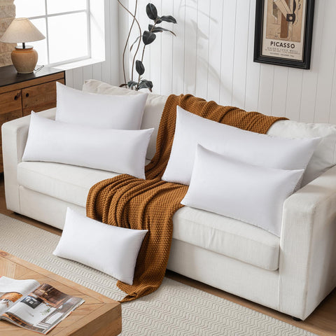 basic home lumbar insert on sofa demonstrating comfort and decorative support