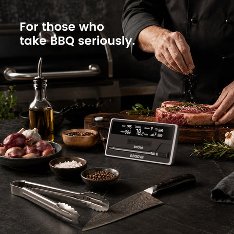 BBQOVN probe charging next to coin showing compact size and portability