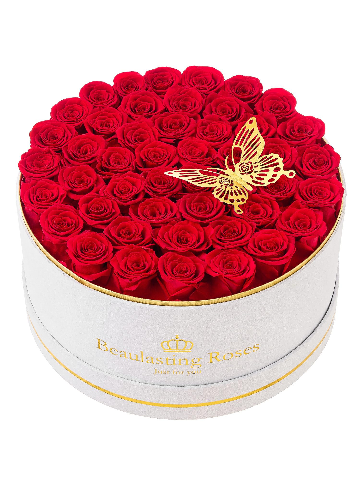 Beaulasting Roses front view of velvet box highlighting vibrant red roses and gift appeal
