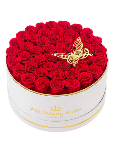 Beaulasting Roses front view of velvet box highlighting vibrant red roses and gift appeal