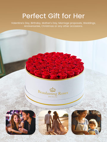 Beaulasting Roses box next to a hand for scale to demonstrate compact, gift-ready size