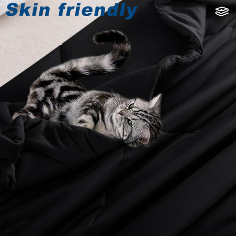 bedsmile folded comforter packed for travel showing lightweight portability benefit