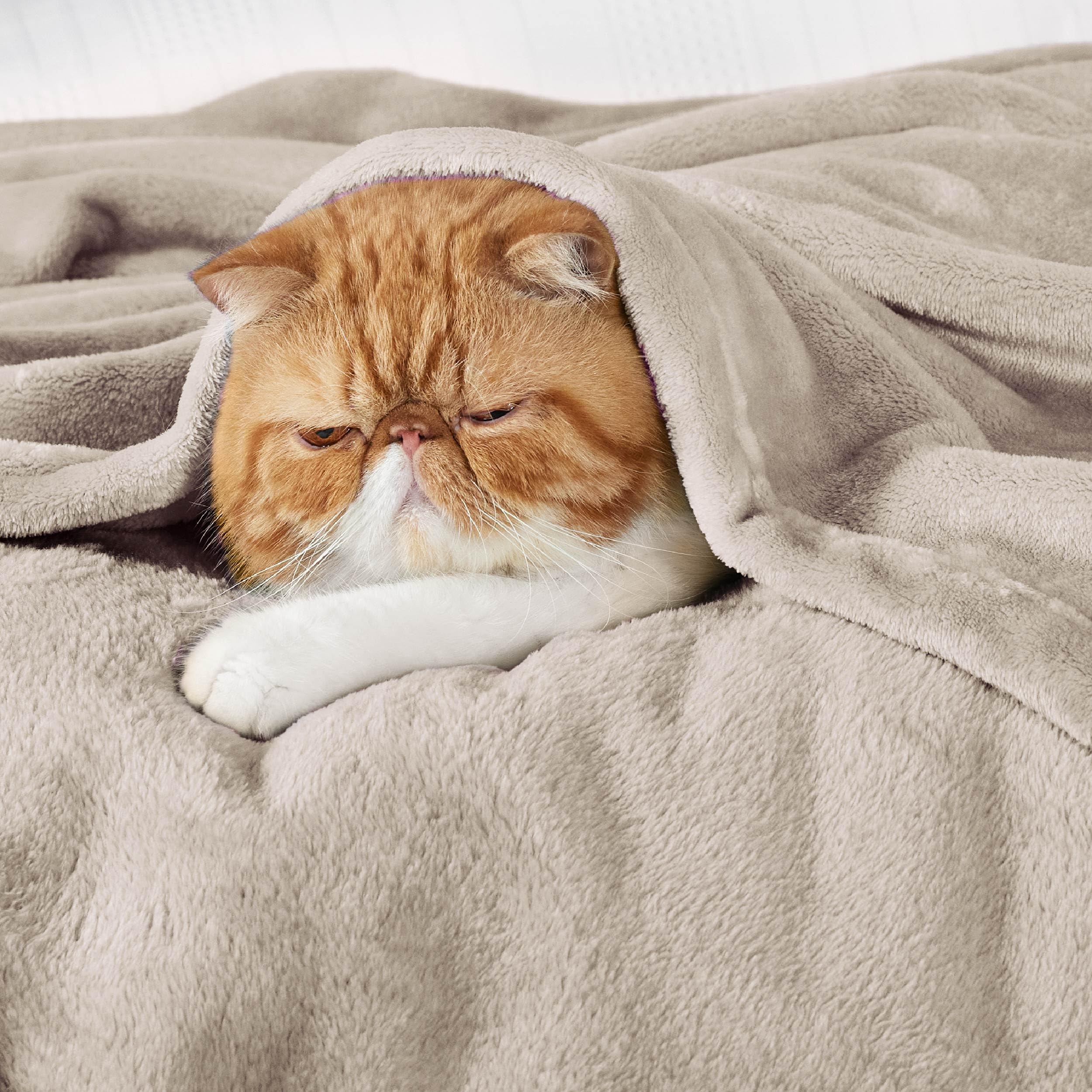 Bedsure blanket draped on queen bed offering cozy coverage and elegant look