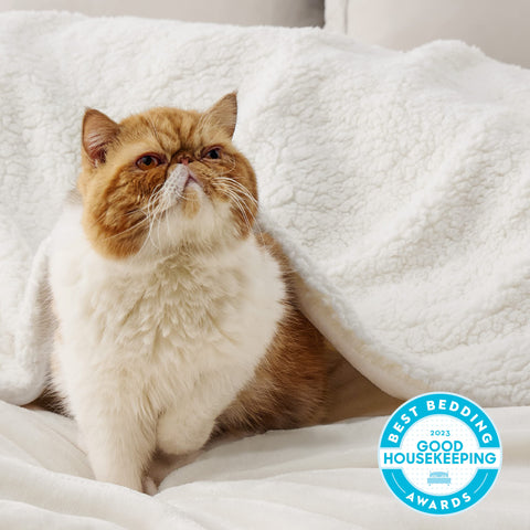 Bedsure Sherpa reverse close-up highlighting plush warmth