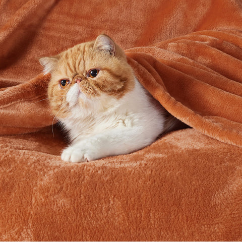 Bedsure close-up microfiber texture highlighting softness