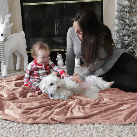 Bedsure blanket with a pet resting on it emphasizing easy-care comfort