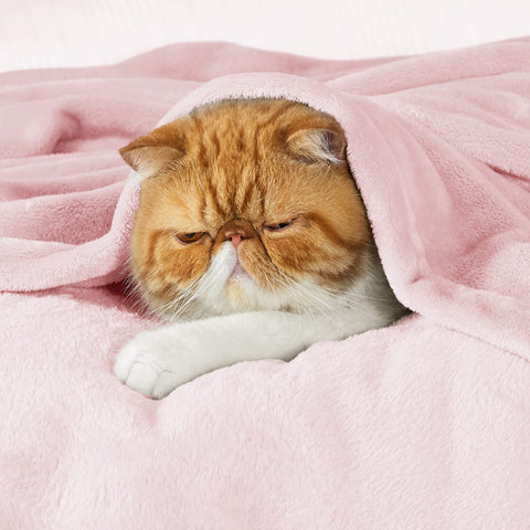 Bedsure blanket close-up texture highlighting soft microfiber comfort