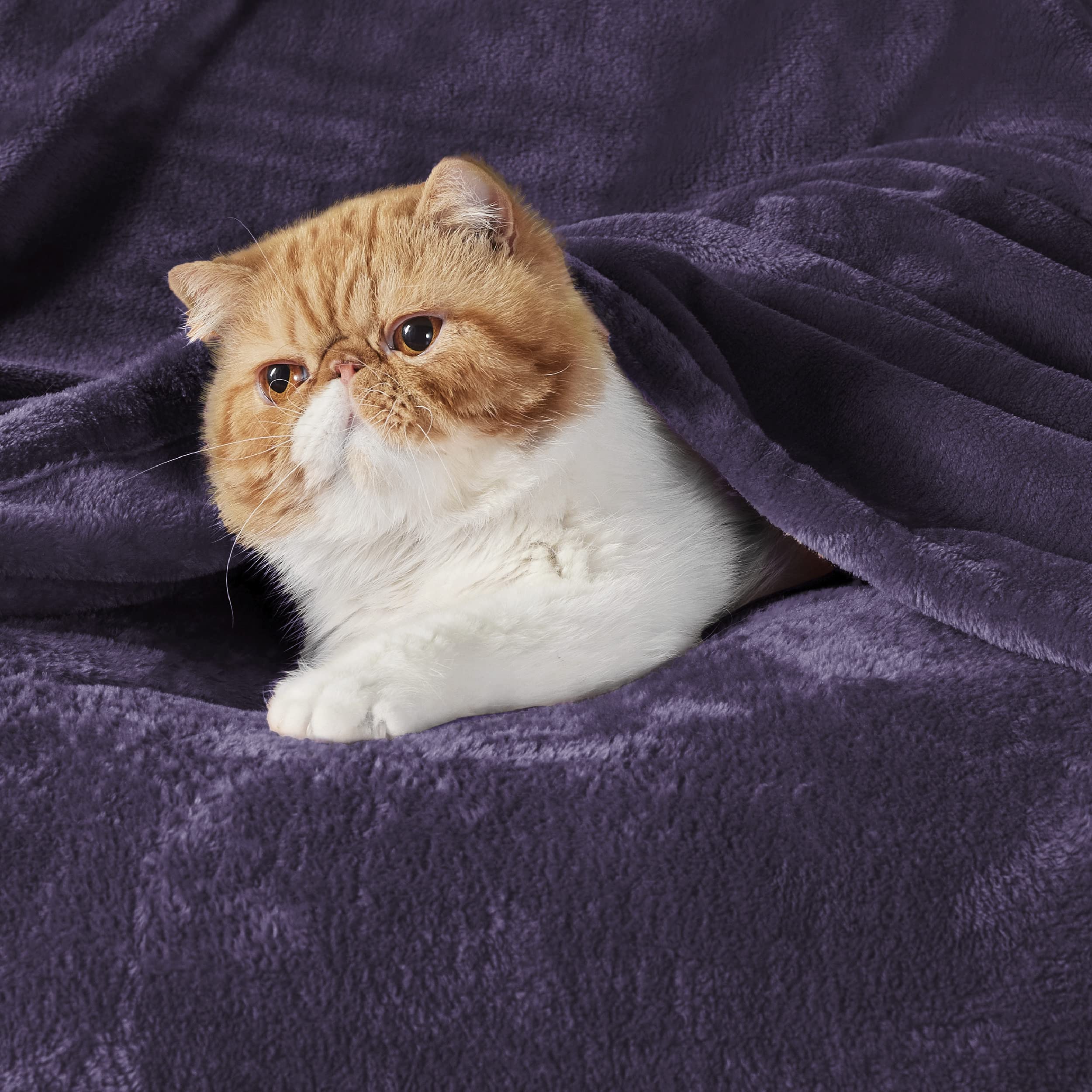 Bedsure GentleSoft close-up microfiber texture highlighting plush softness