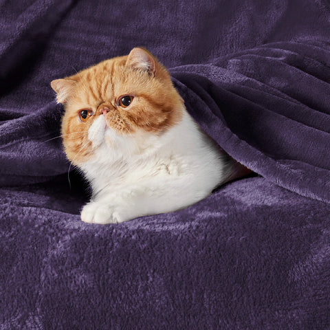 Bedsure GentleSoft close-up microfiber texture highlighting plush softness