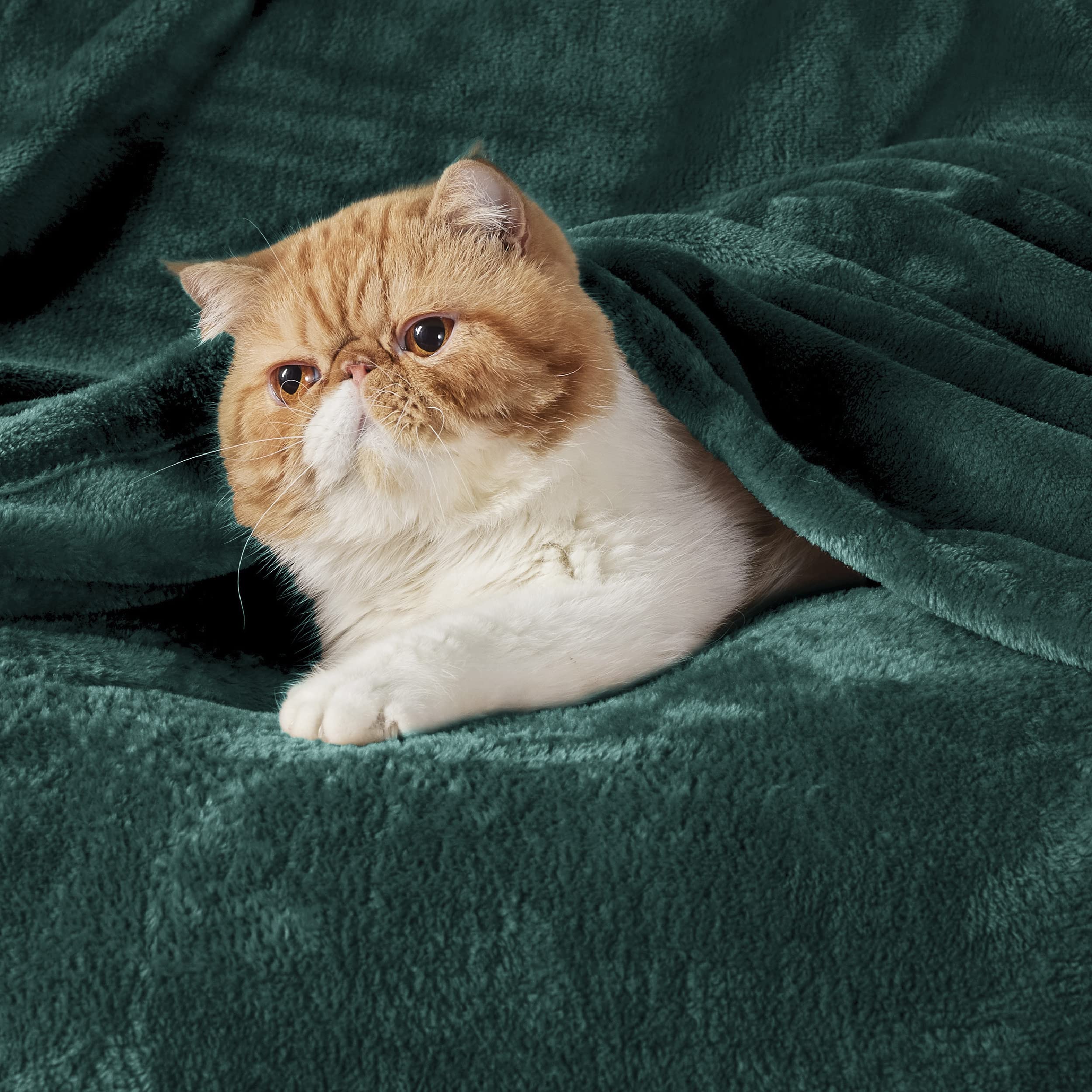 Bedsure GentleSoft close-up of fleece pile highlights soft texture and warmth