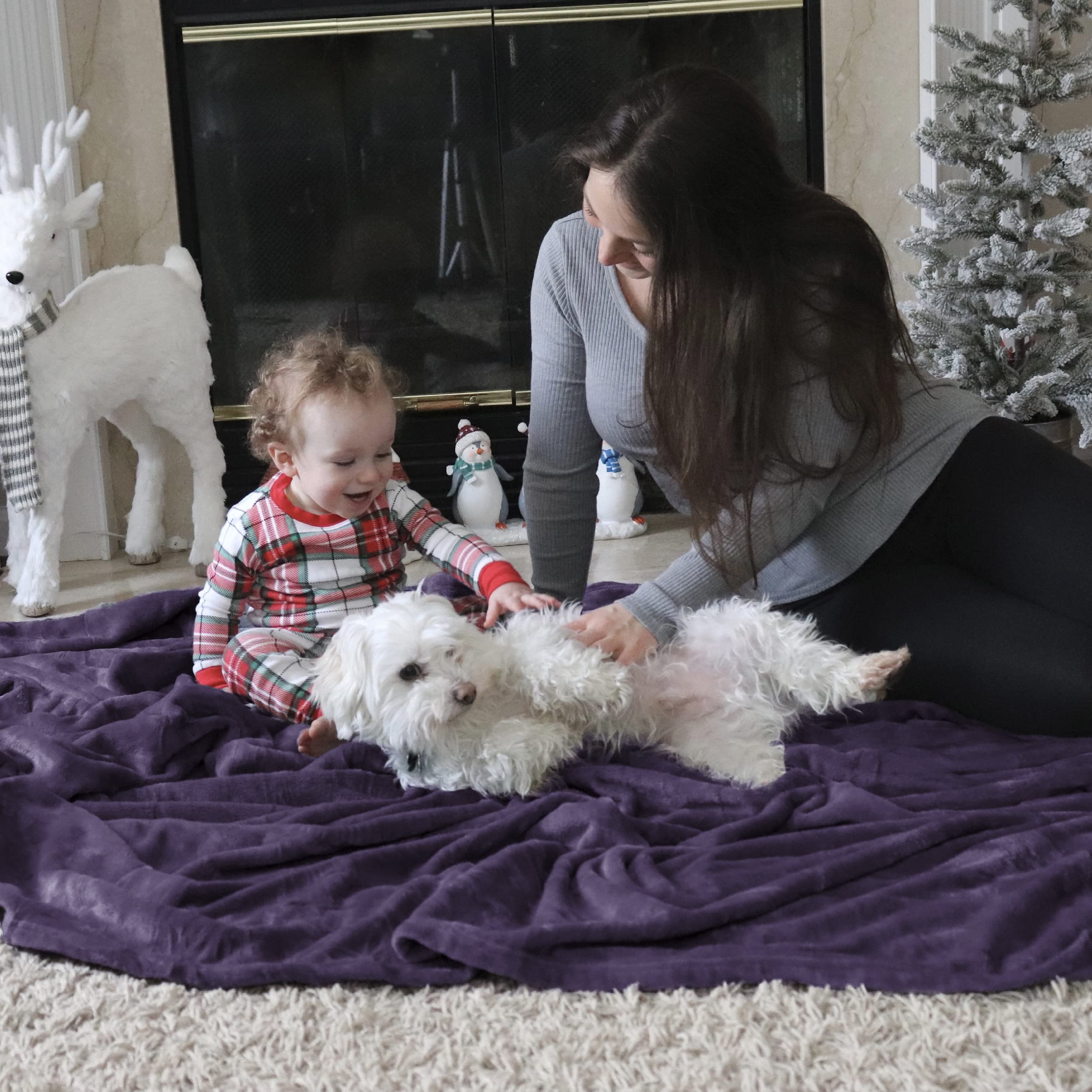 Bedsure GentleSoft with pet resting showing inviting softness and pet-friendly use
