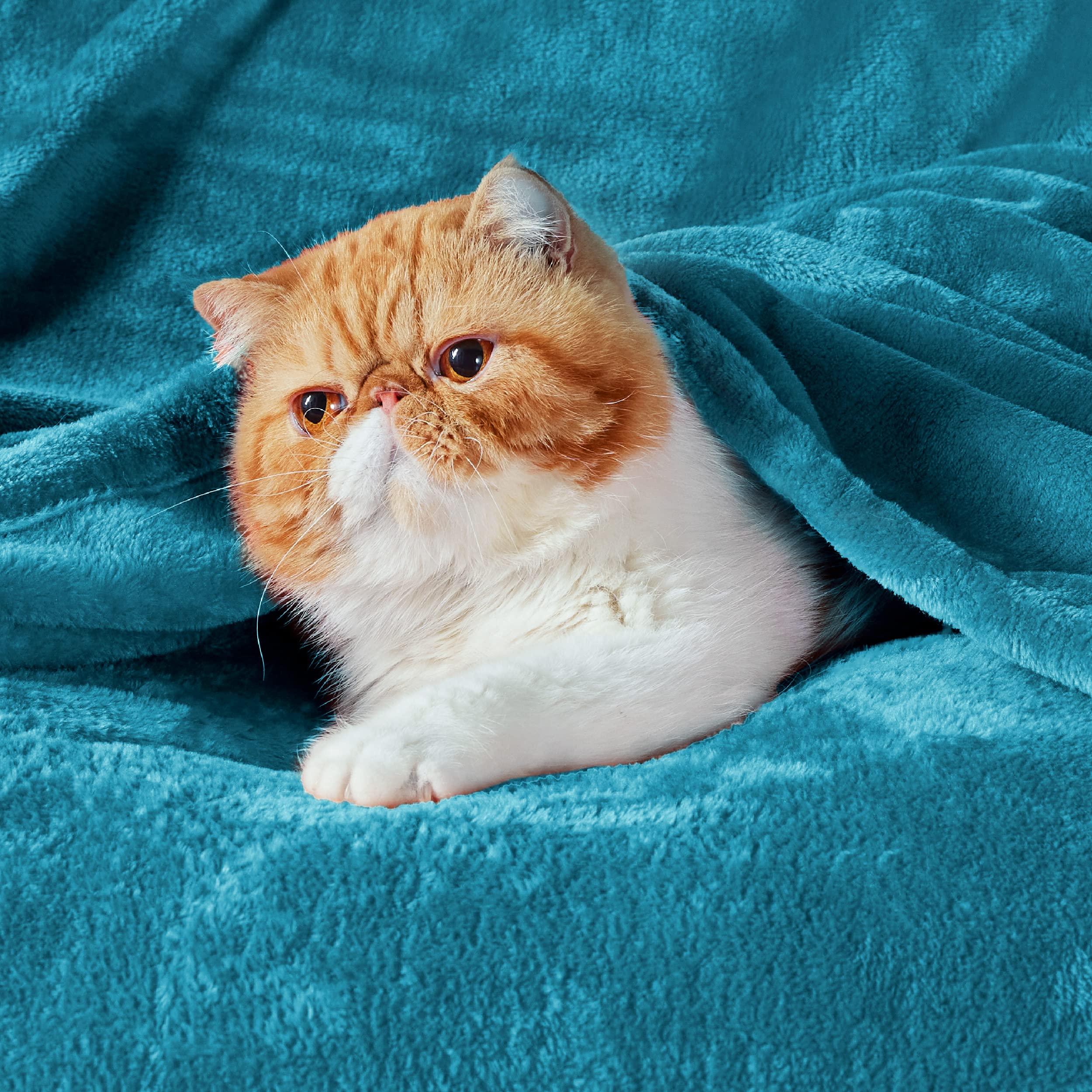 Bedsure close-up of GentleSoft pile highlighting cloud-like softness and touch comfort