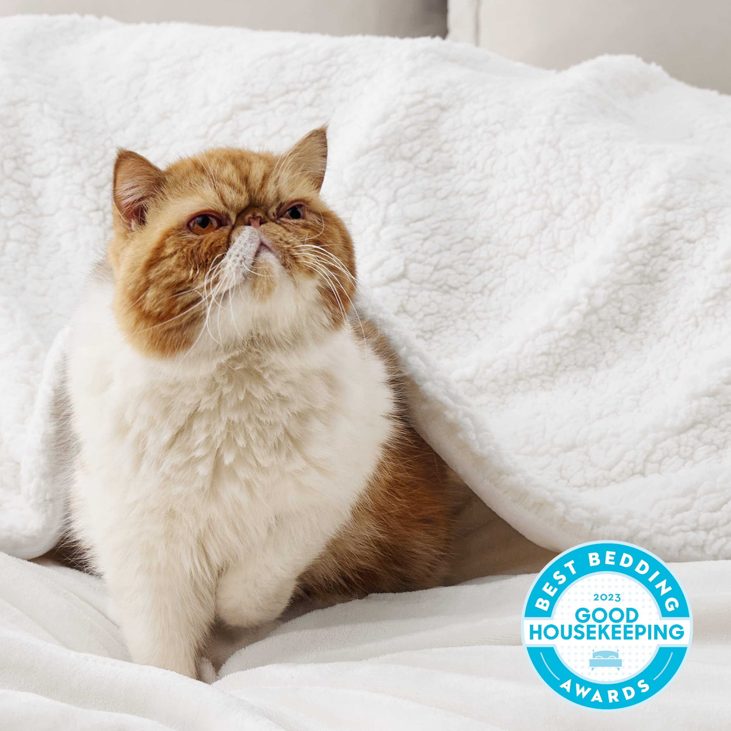 Bedsure GentleSoft Sherpa reverse close-up highlighting plush loft and warmth