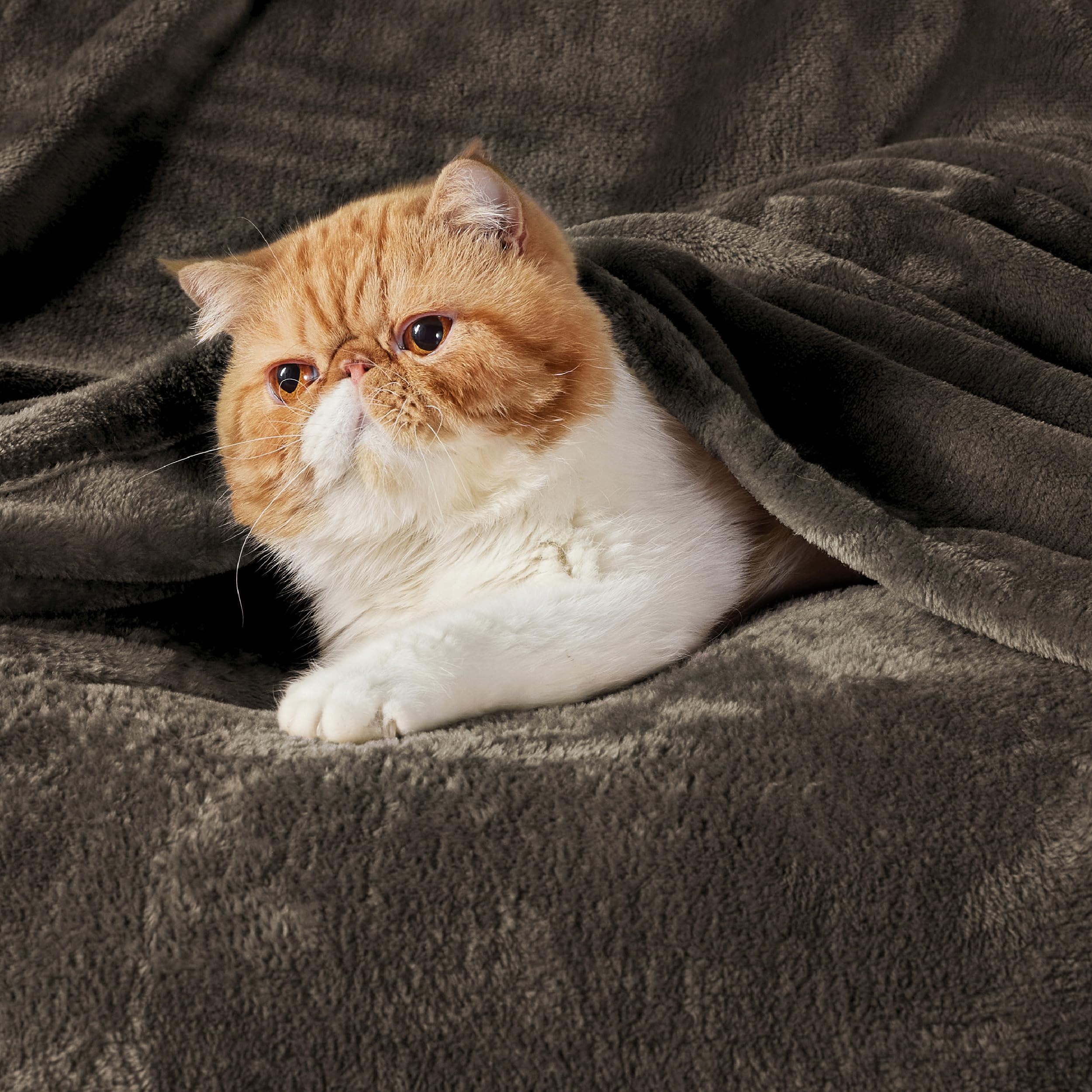 Bedsure close-up of GentleSoft fleece texture highlighting plush softness