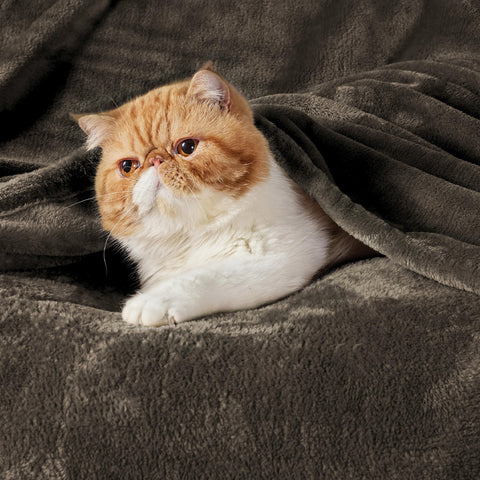 Bedsure close-up of GentleSoft fleece texture highlighting plush softness