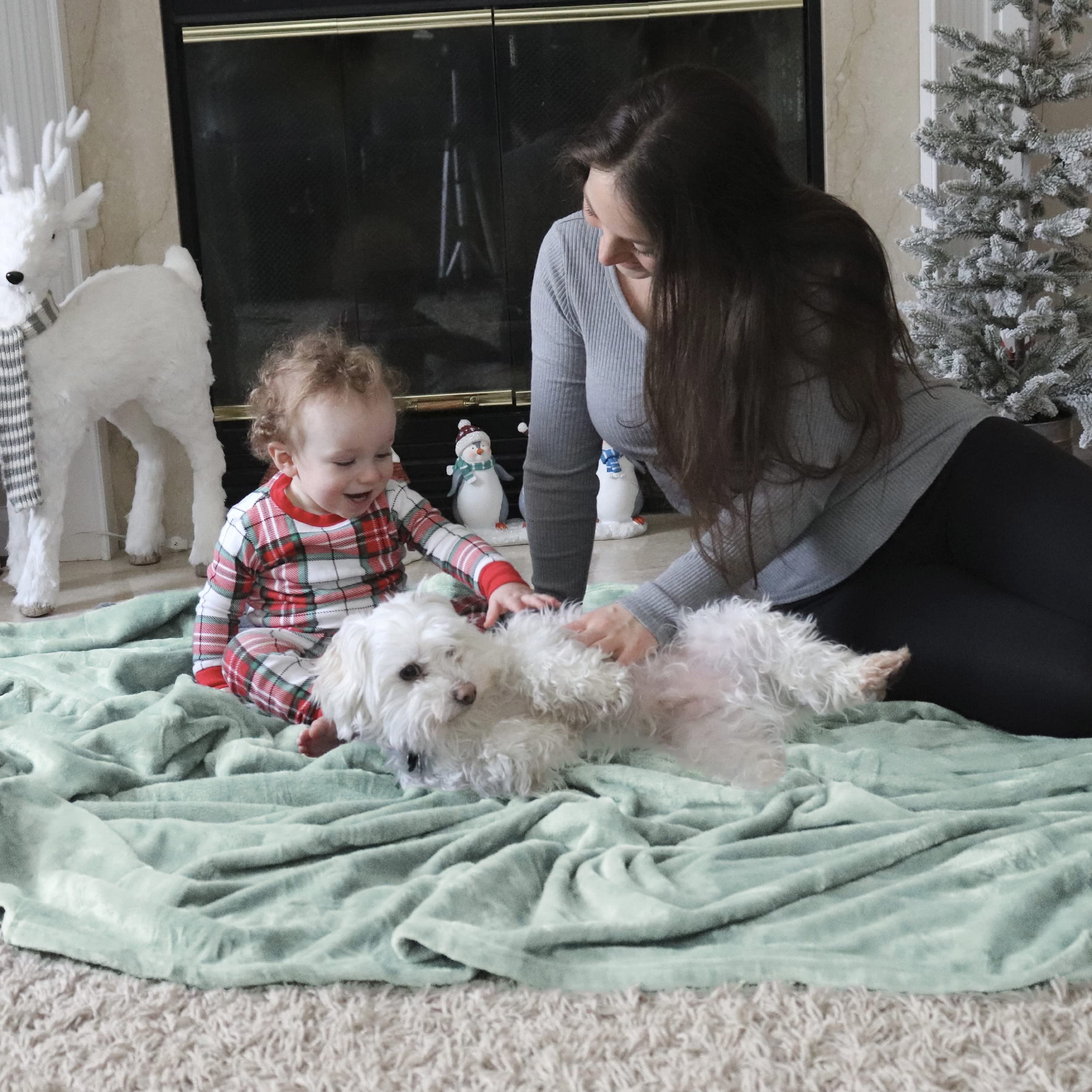 Bedsure GentleSoft beside a pet showing pet-friendly comfort and easy care