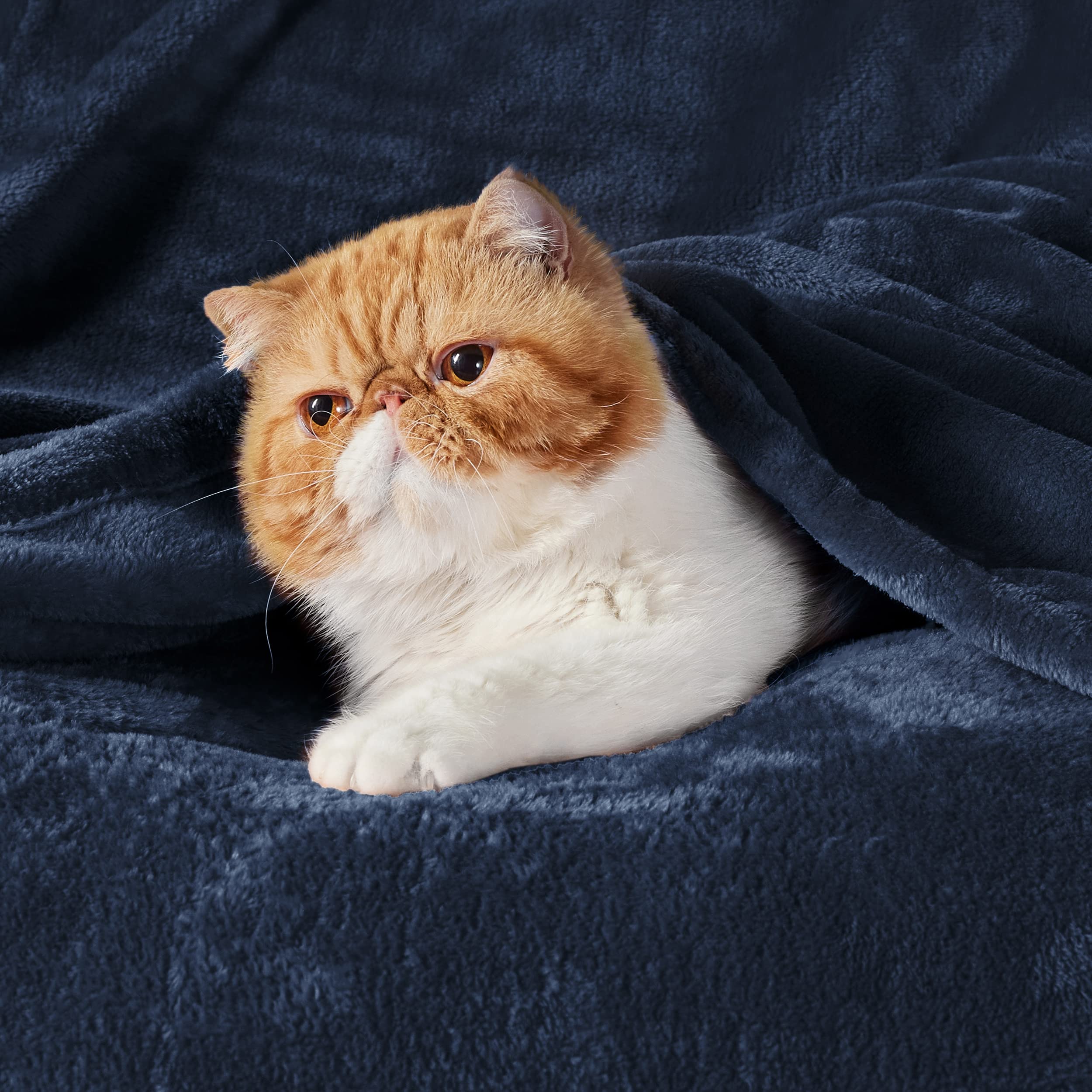 Bedsure navy blanket close-up texture highlighting ultra-soft microfiber