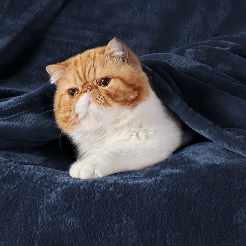 Bedsure navy blanket close-up texture highlighting ultra-soft microfiber