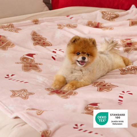 Bedsure throw draped on couch illustrating seasonal decor and comfortable lounging