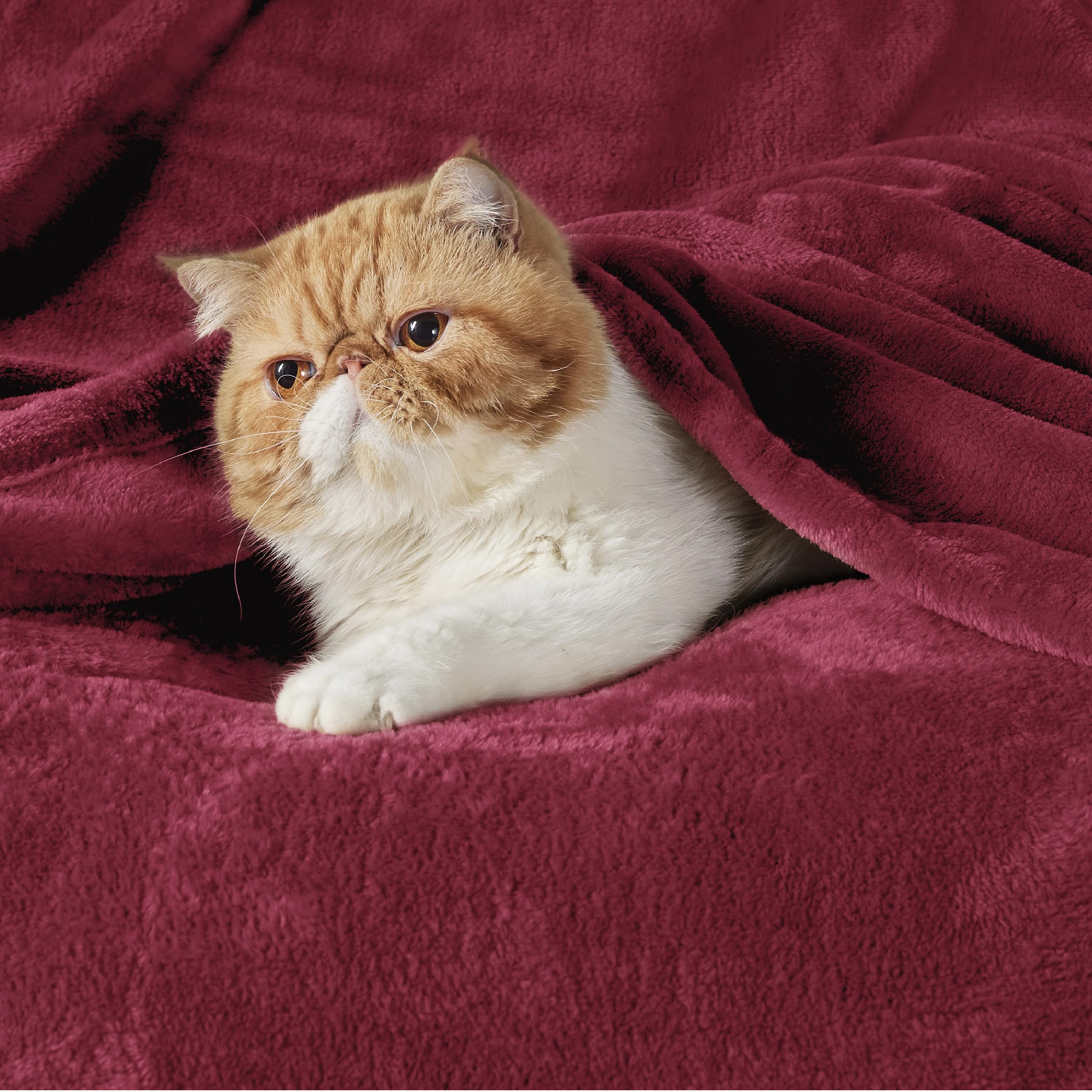 Bedsure red closeup plush texture highlights ultra-soft feel
