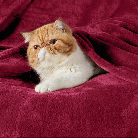 Bedsure red closeup plush texture highlights ultra-soft feel