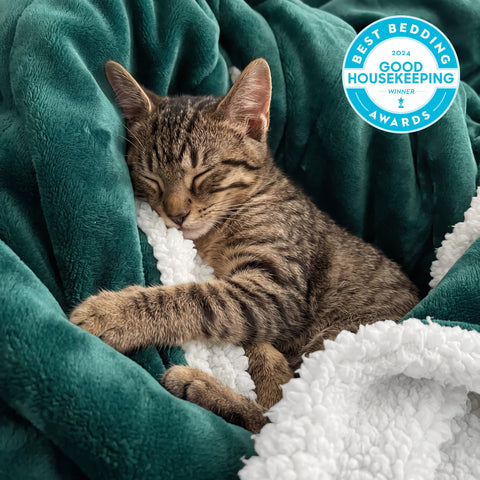 Bedsure Sherpa backing close-up highlighting soft texture and warmth
