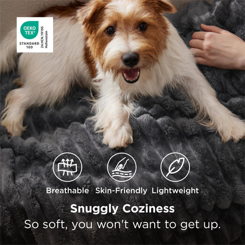 Bedsure throw draped on couch adding neutral decor and instant warmth