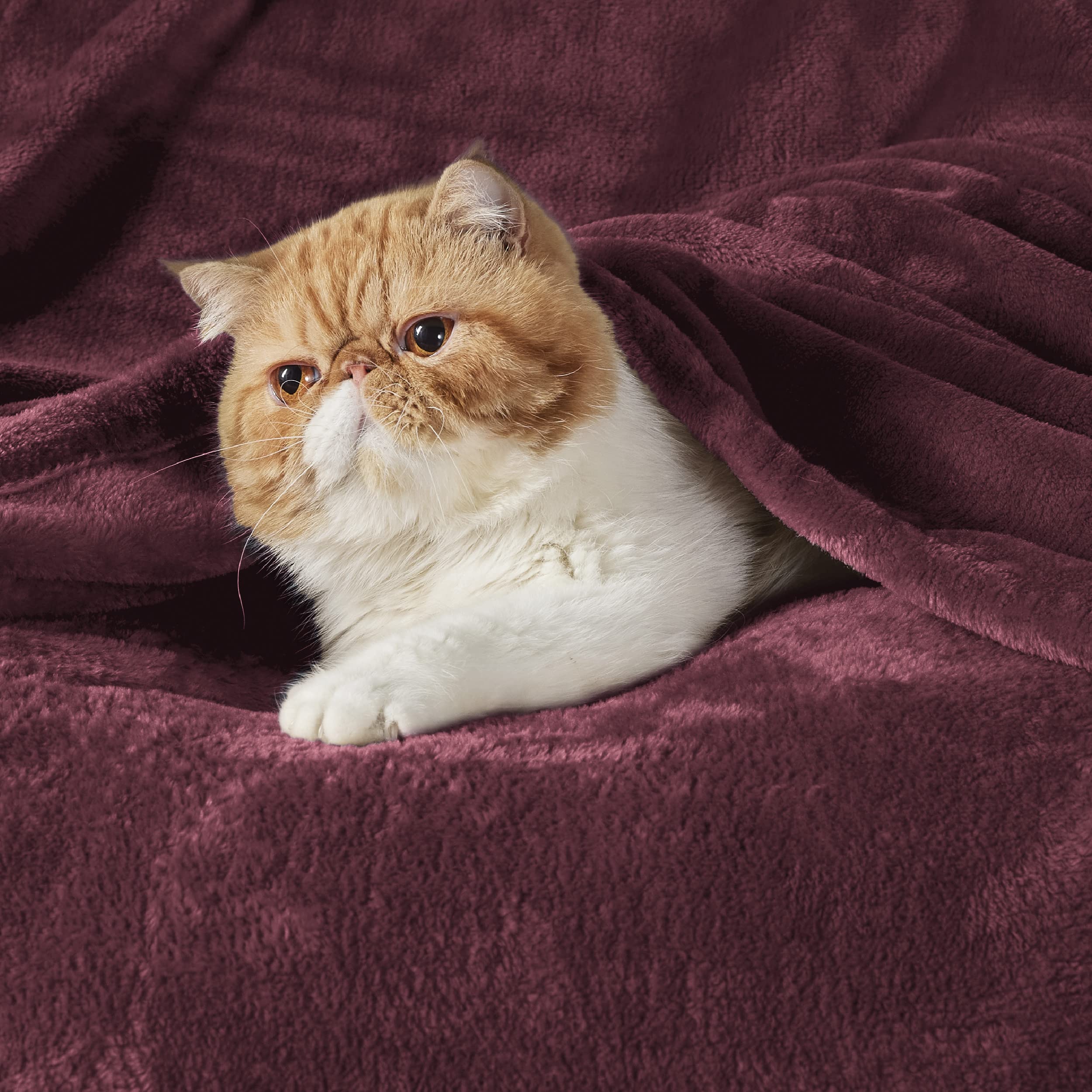 Bedsure close-up microfiber texture highlighting softness and plush feel