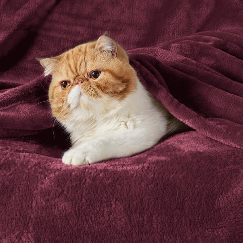 Bedsure close-up microfiber texture highlighting softness and plush feel