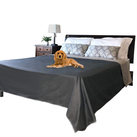 Bee Bee pet on sheet demo showing dog-safe coverage that preserves bedding
