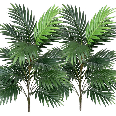 Beebel front view of two palm stems showing full tropical presence