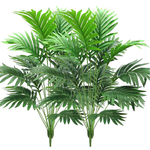 Beebel front view palm bush showing full 30 inch height and lush greenery benefit
