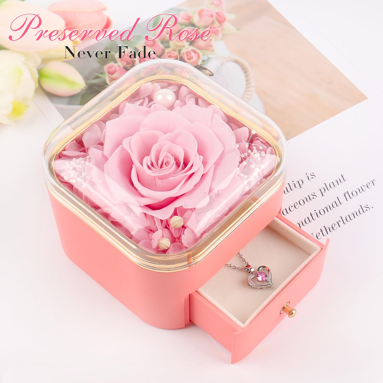 Beferr rose held in hand to show scale and compact keepsake sizing