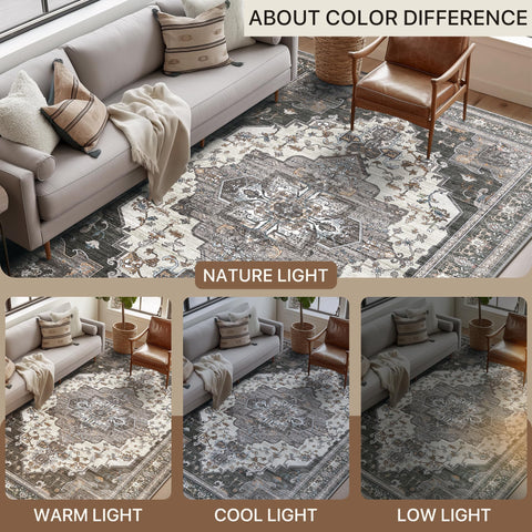 BEIMO rug beside sofa showing true 8x10 scale and fit