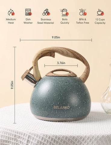 BELANKO kettle on induction stovetop demonstrating broad compatibility