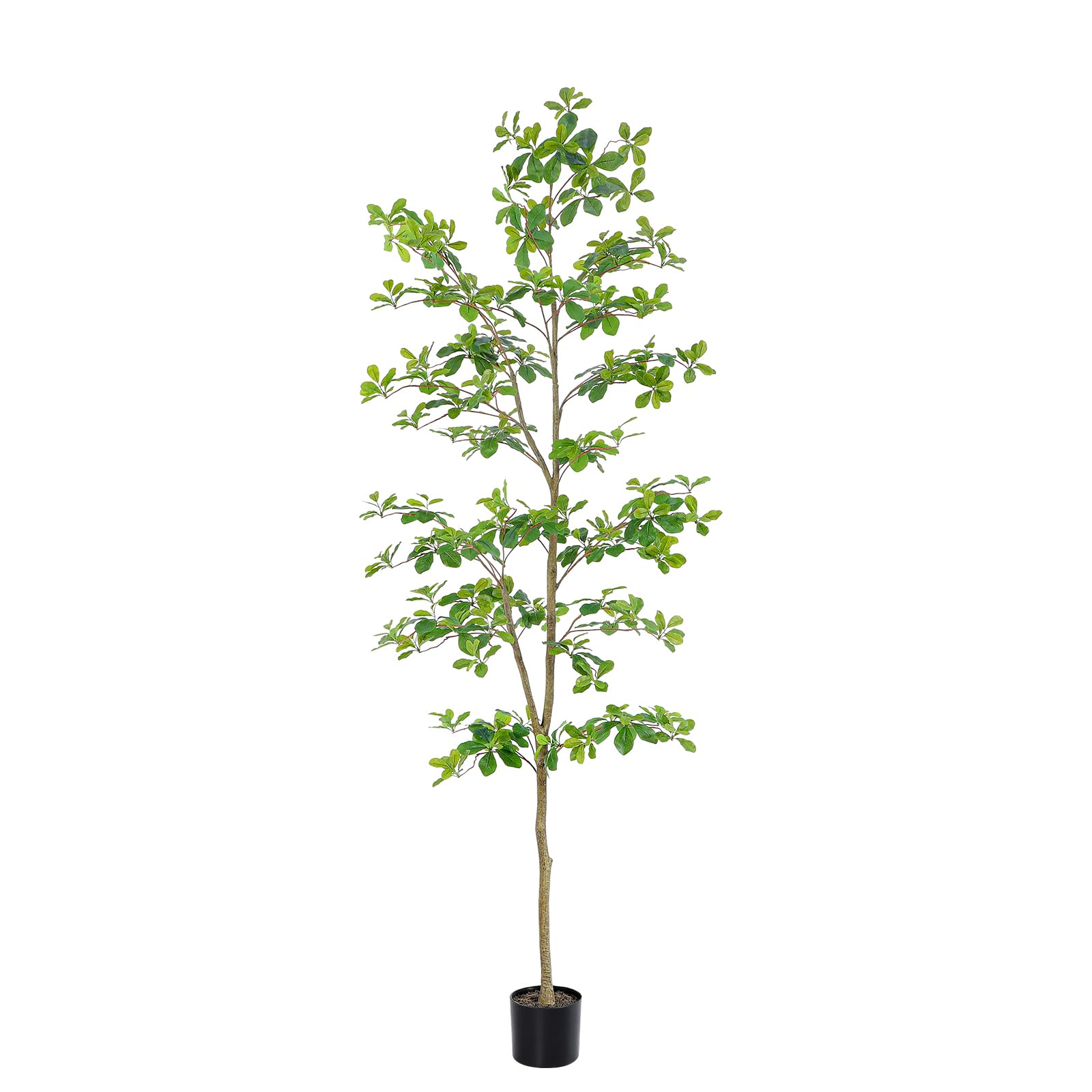 bellacat full view of 7ft faux black olive tree adds height and greenery