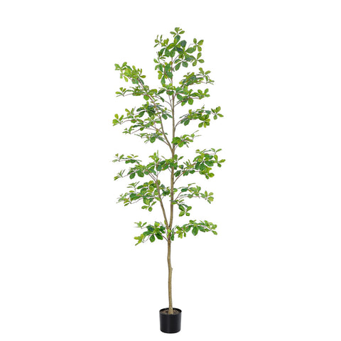 bellacat full view of 7ft faux black olive tree adds height and greenery