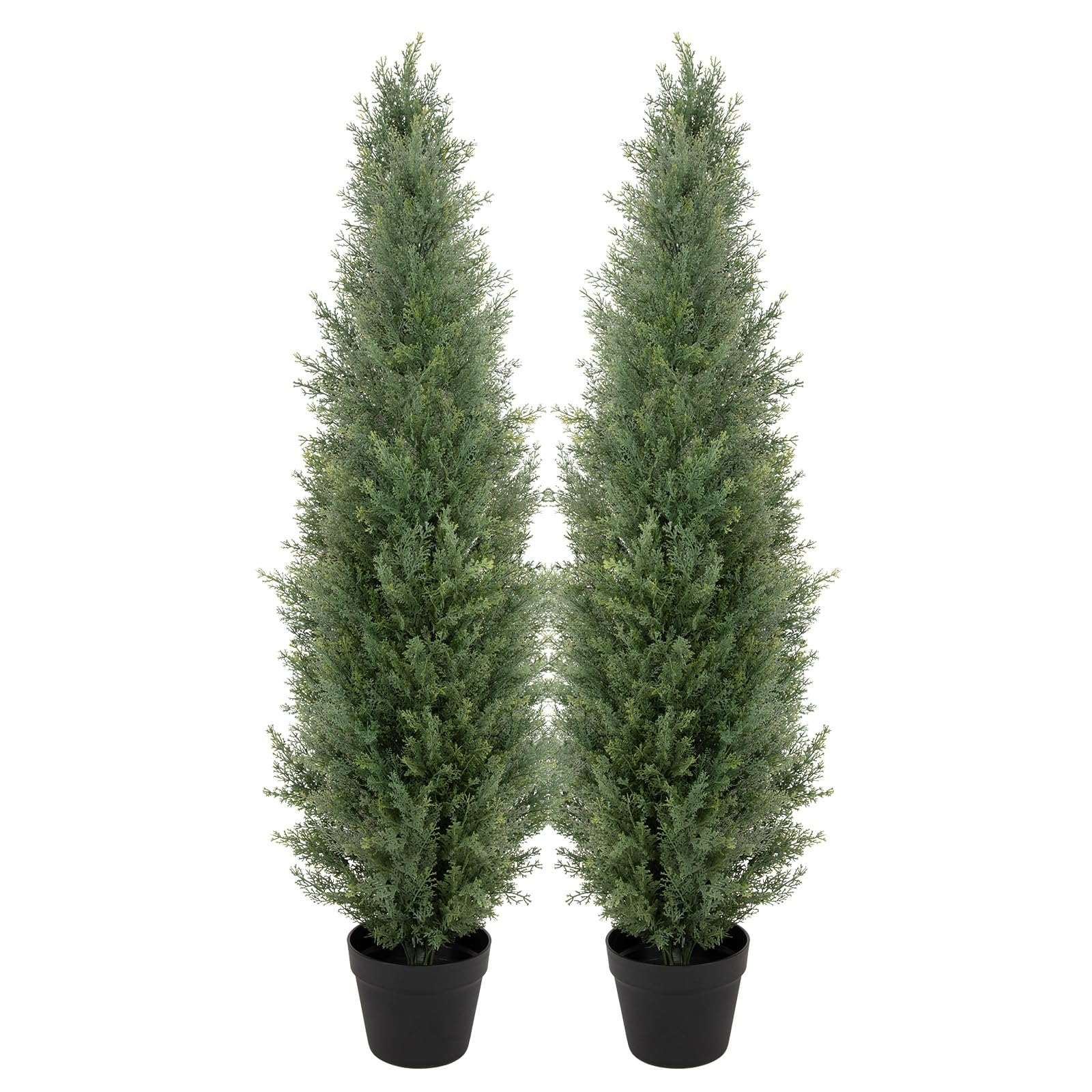 bellacat front view of two 4ft topiary trees showing curb appeal and symmetry
