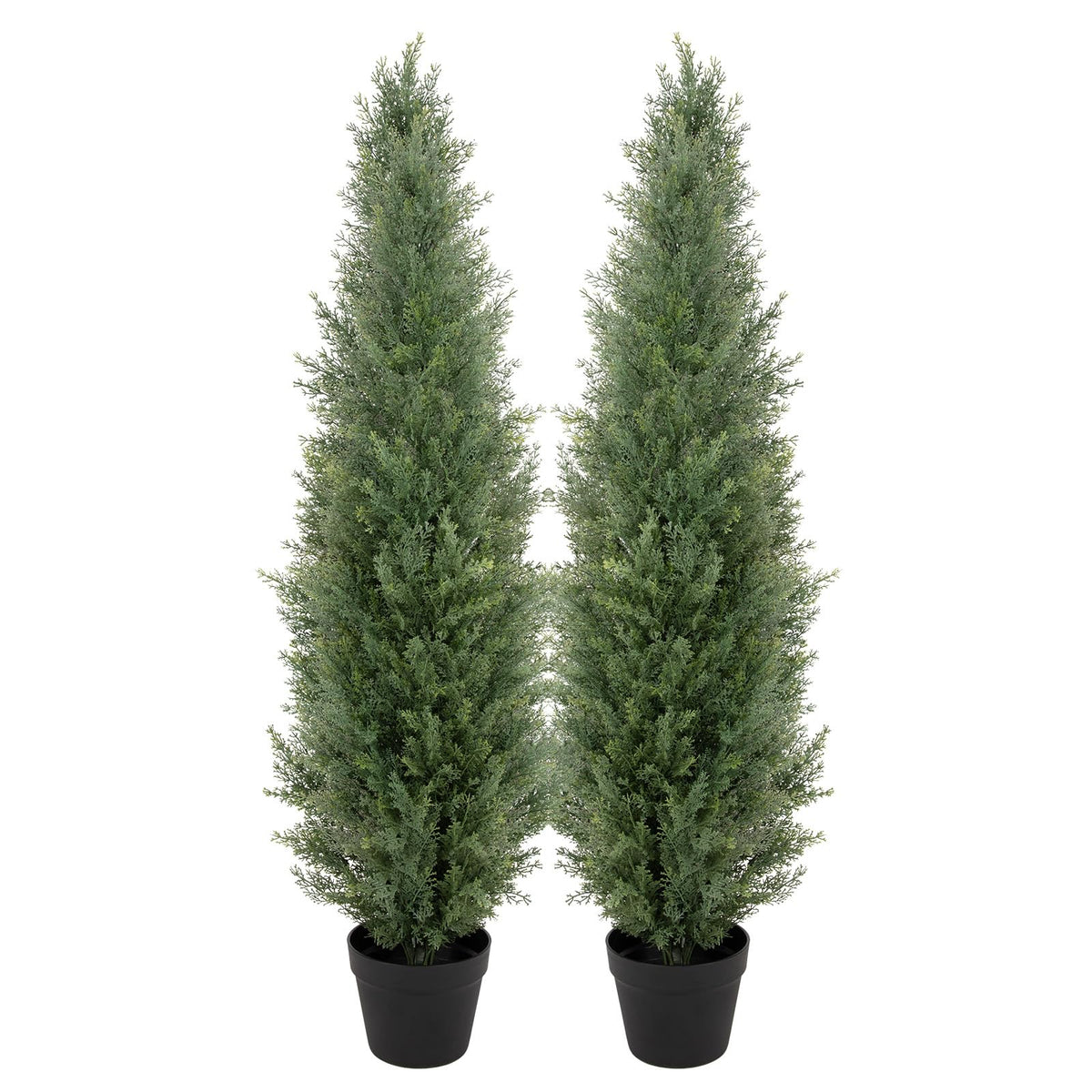 bellacat front view of two 4ft topiary trees showing curb appeal and symmetry