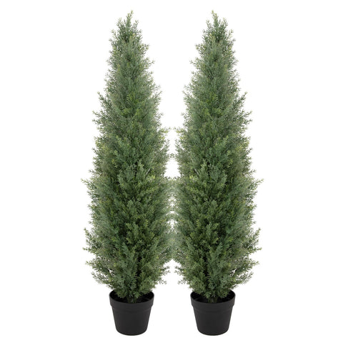bellacat front view of two 4ft topiary trees showing curb appeal and symmetry
