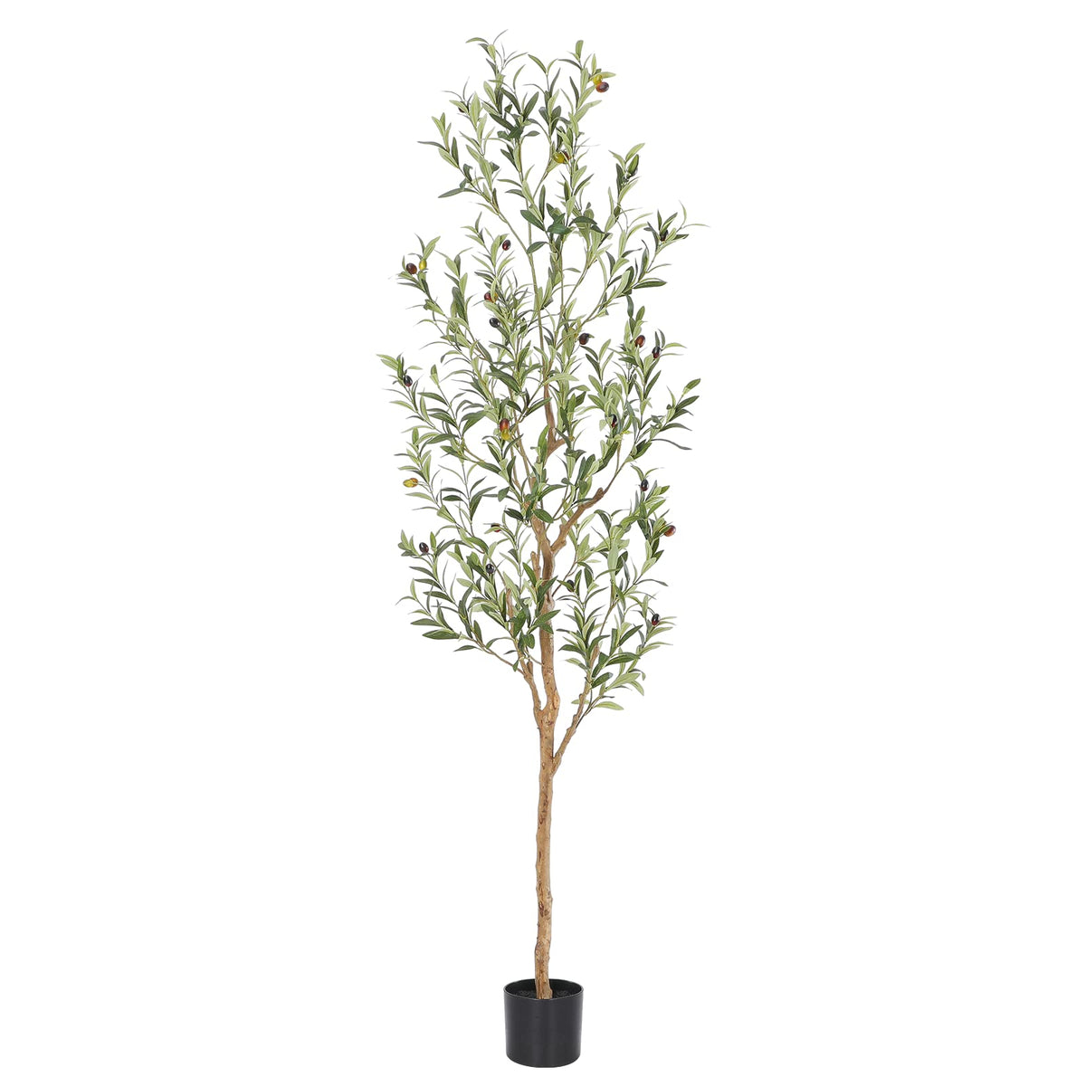 bellacat faux olive tree front view showing full height and elegant silhouette