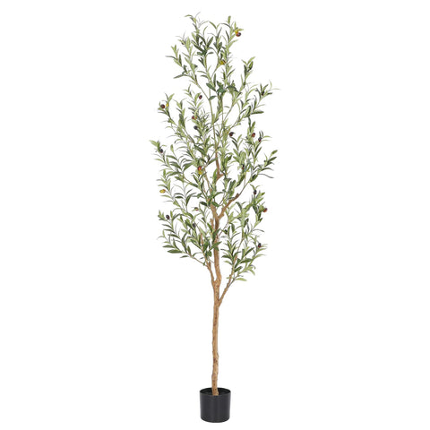 bellacat faux olive tree front view showing full height and elegant silhouette