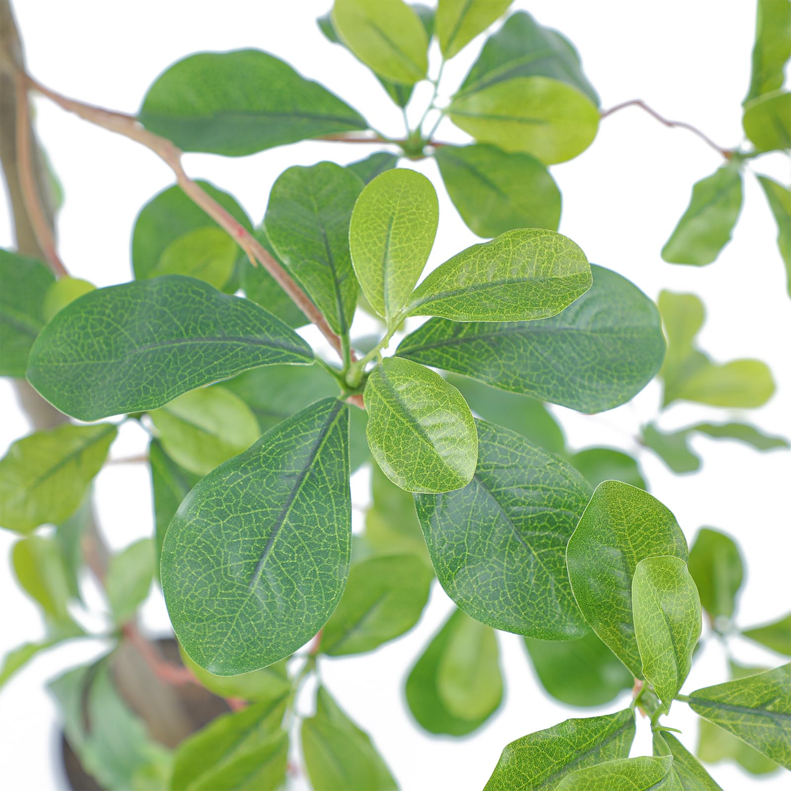 bellacat detailed leaves display lifelike foliage for authentic appearance