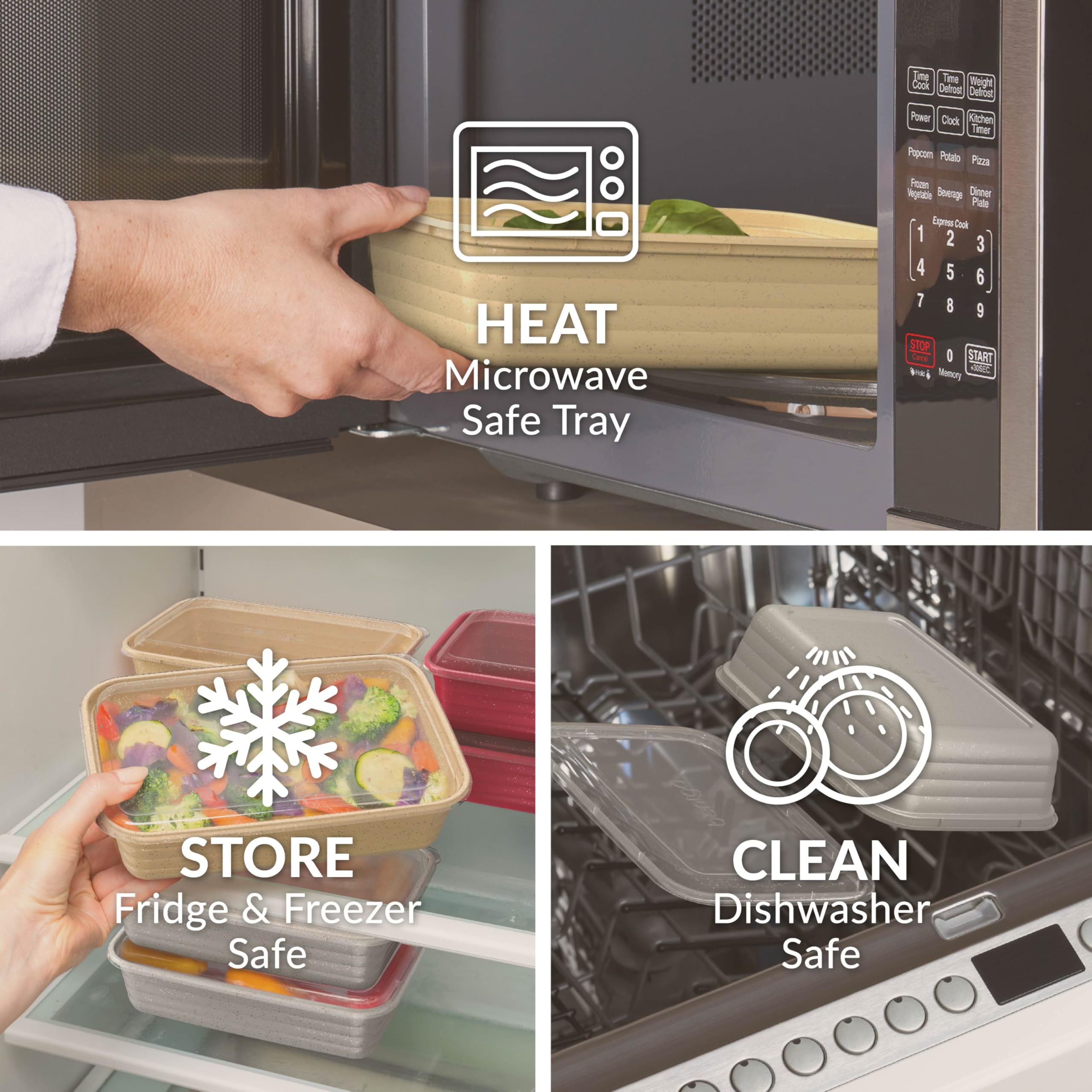 Bentgo container held in hand showing scale and easy transport