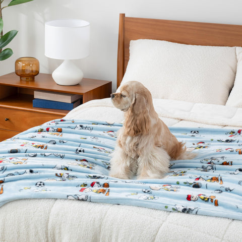 Berkshire Blanket Snoopy size comparison on chair demonstrates 55x70-inch coverage