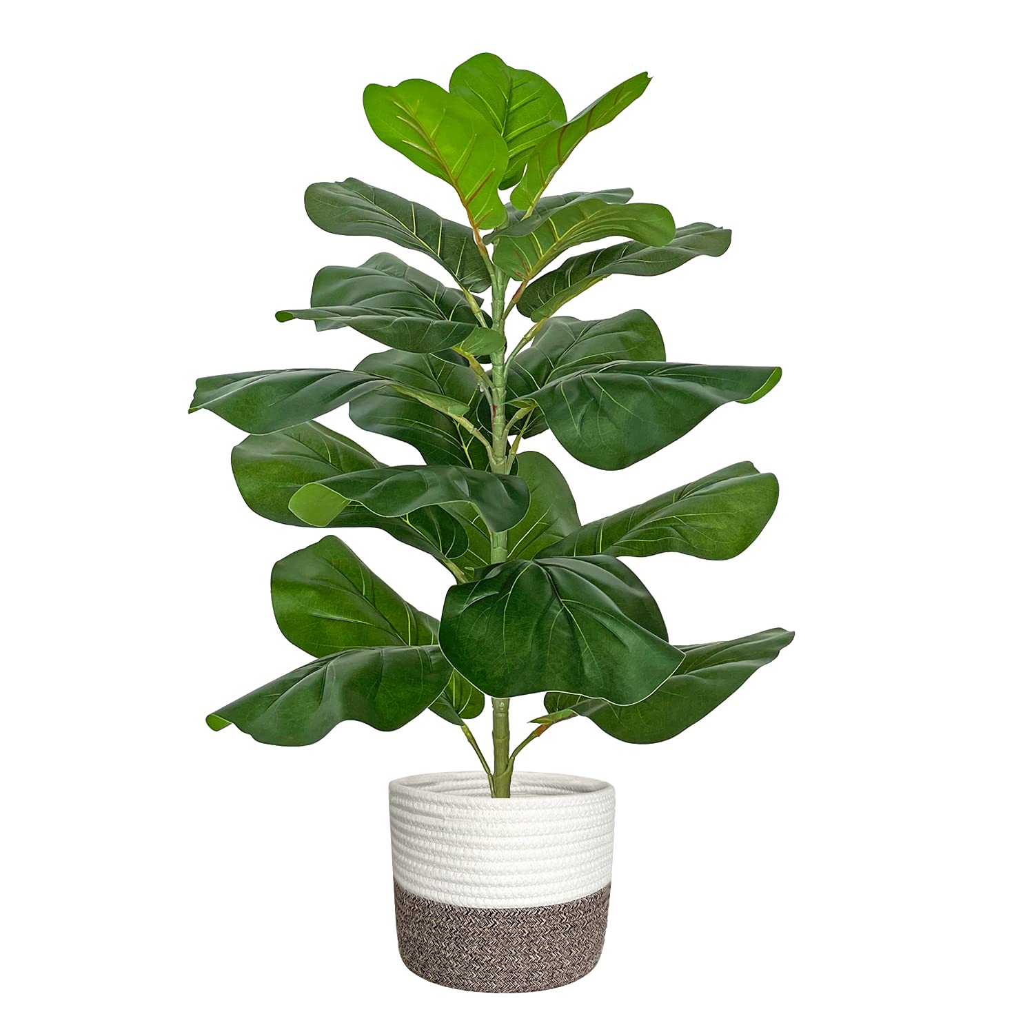 BESAMENATURE front view showing lifelike foliage and ready-to-display benefit