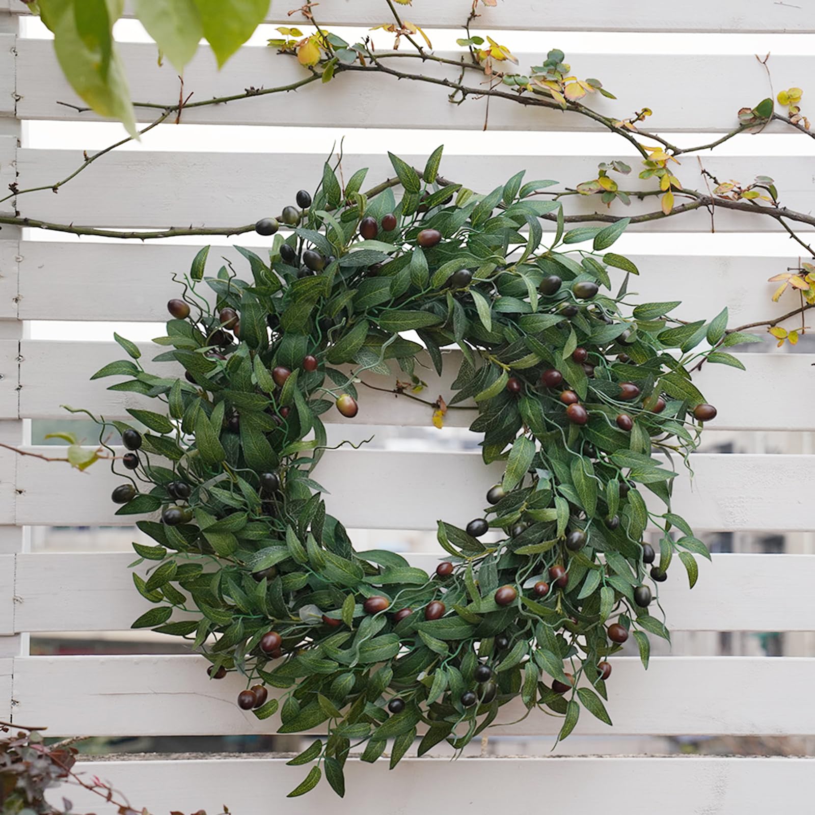 BHHDA side profile highlighting full shape and sturdy vine base