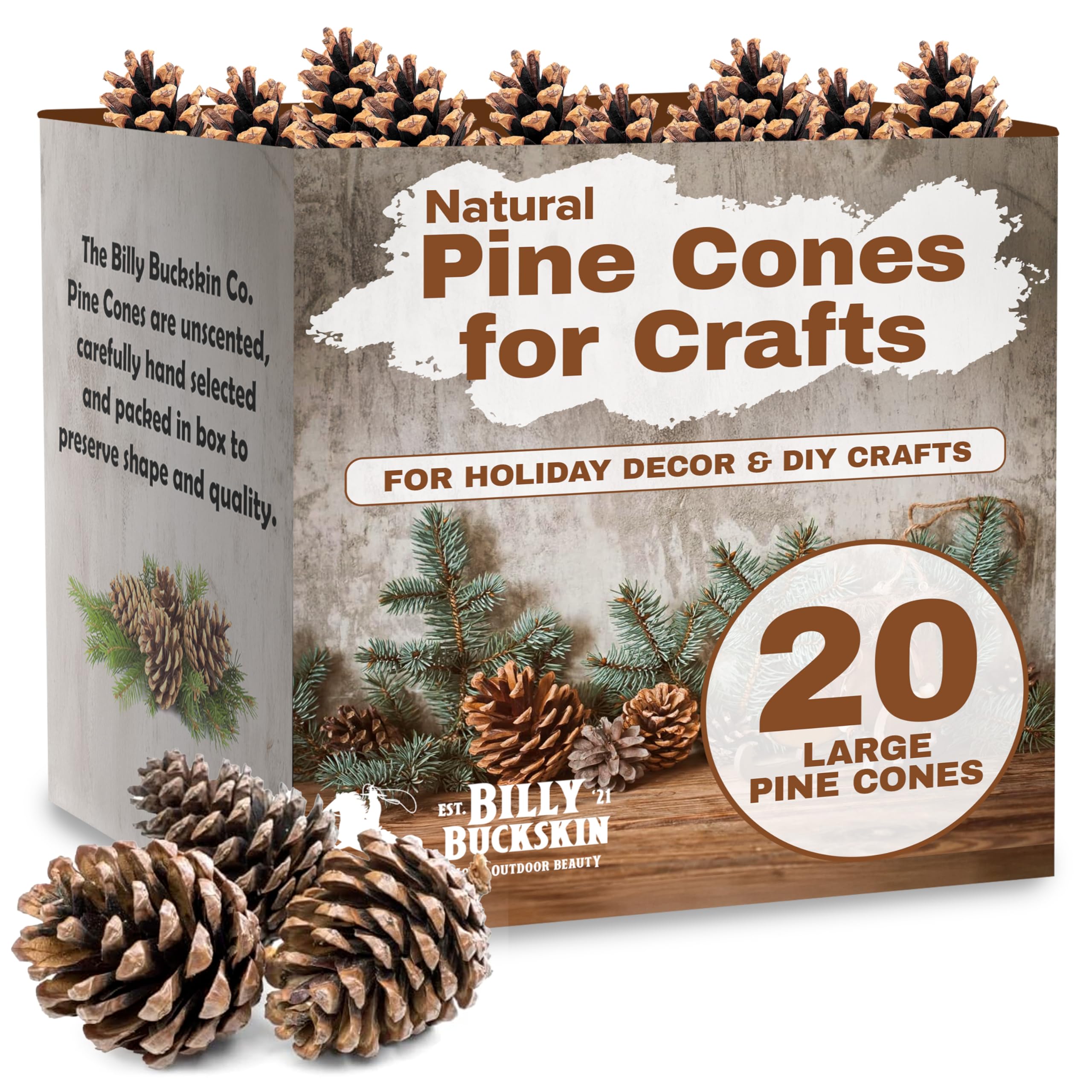 Billy Buckskin front-packaging of 20 pine cones showing quantity and natural look