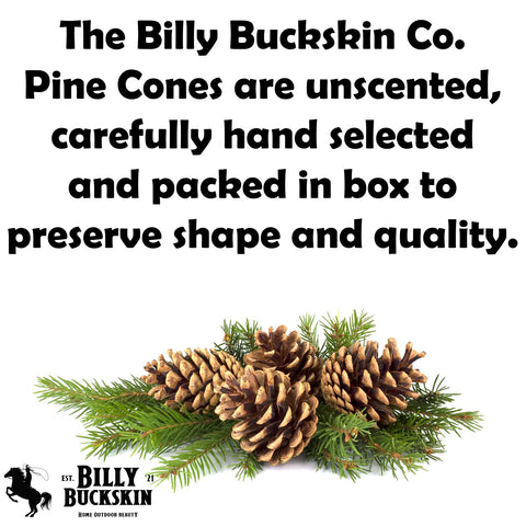 Billy Buckskin pine cones arranged in a vase adding rustic table decor
